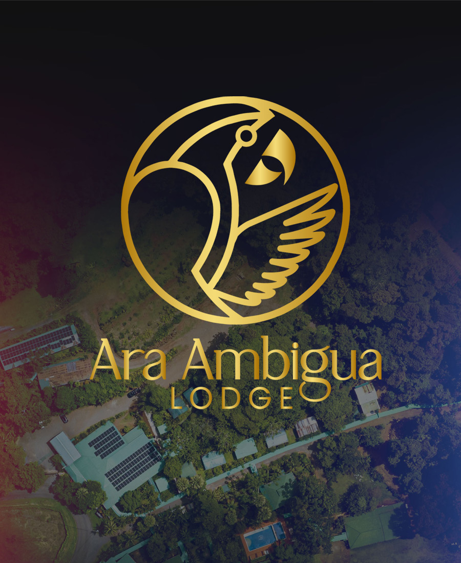 SmartLink de Ara Ambigua Lodge